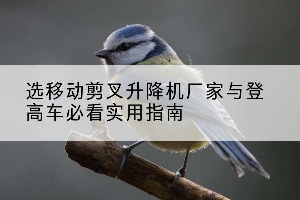 仪征电动升降机厂家-选移动剪叉升降机厂家与登高车必看实用指南