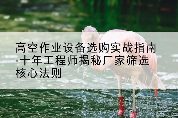 仪征剪叉式升降机厂家-高空作业设备选购实战指南-十年工程师揭秘厂家筛选核心法则