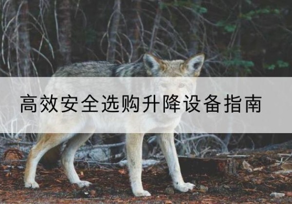 仪征升降货梯厂家推荐-*安全选购升降设备指南