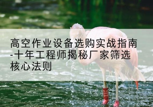 仪征剪叉式升降机厂家-高空作业设备选购实战指南-十年工程师揭秘厂家筛选核心法则