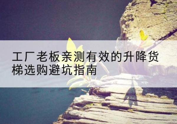 仪征升降货梯怎么选-工厂老板亲测有效的升降货梯选购避坑指南